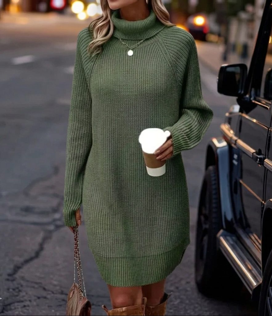 Women's Roll Neck Ribbed Sweater Dress
