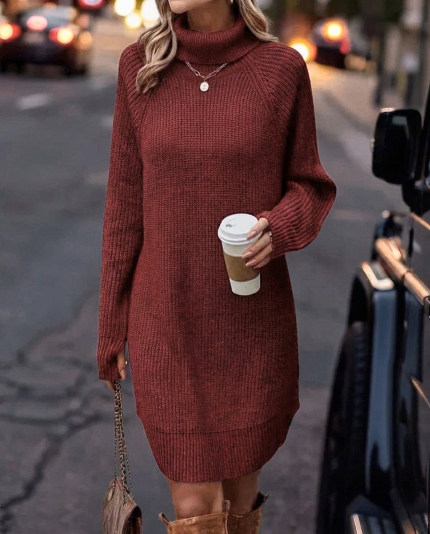 Women's Roll Neck Ribbed Sweater Dress