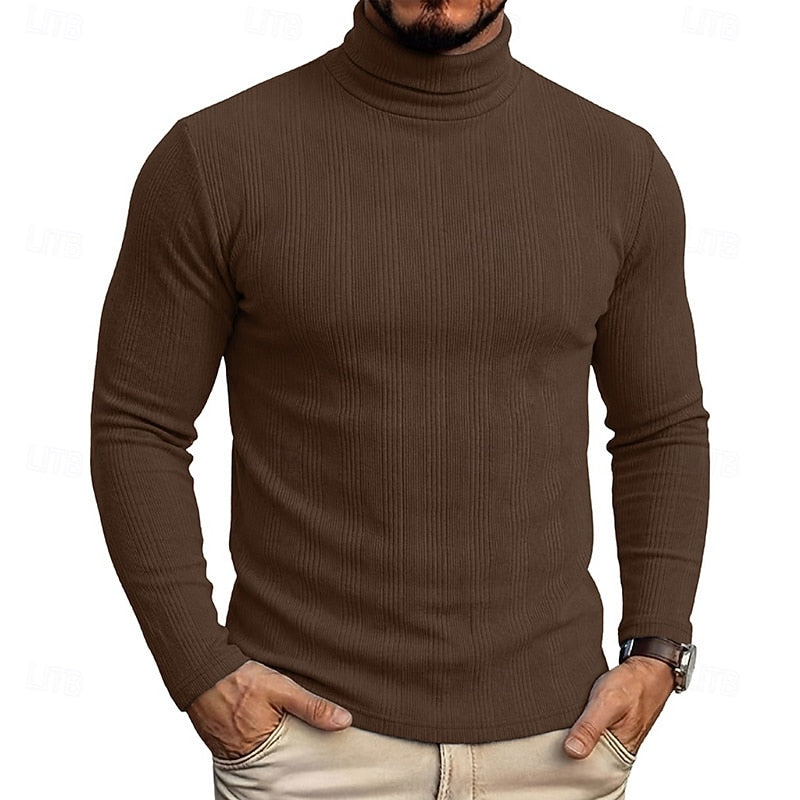 Men's Ribbed Texture Slim Fit Turtleneck Sweater
