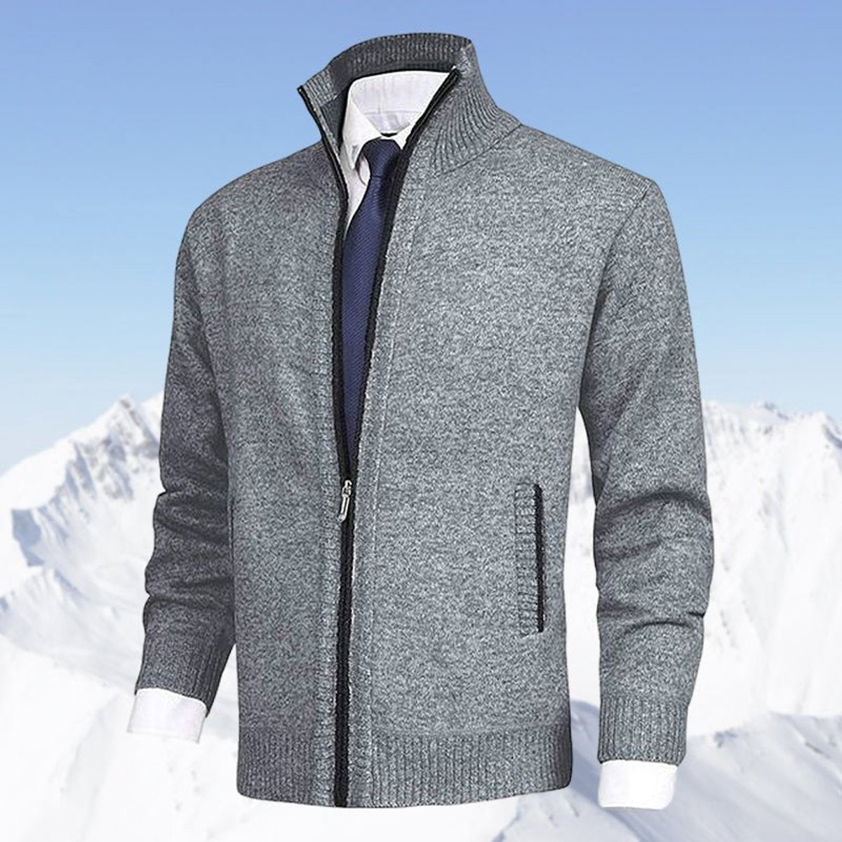 Men's Fleece-Lined Zip-Up Stand Collar Cardigan - Light Gray
