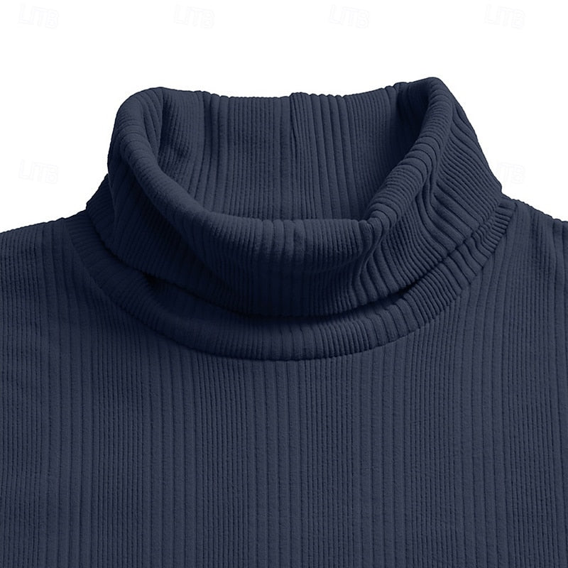 Men's Ribbed Texture Slim Fit Turtleneck Sweater