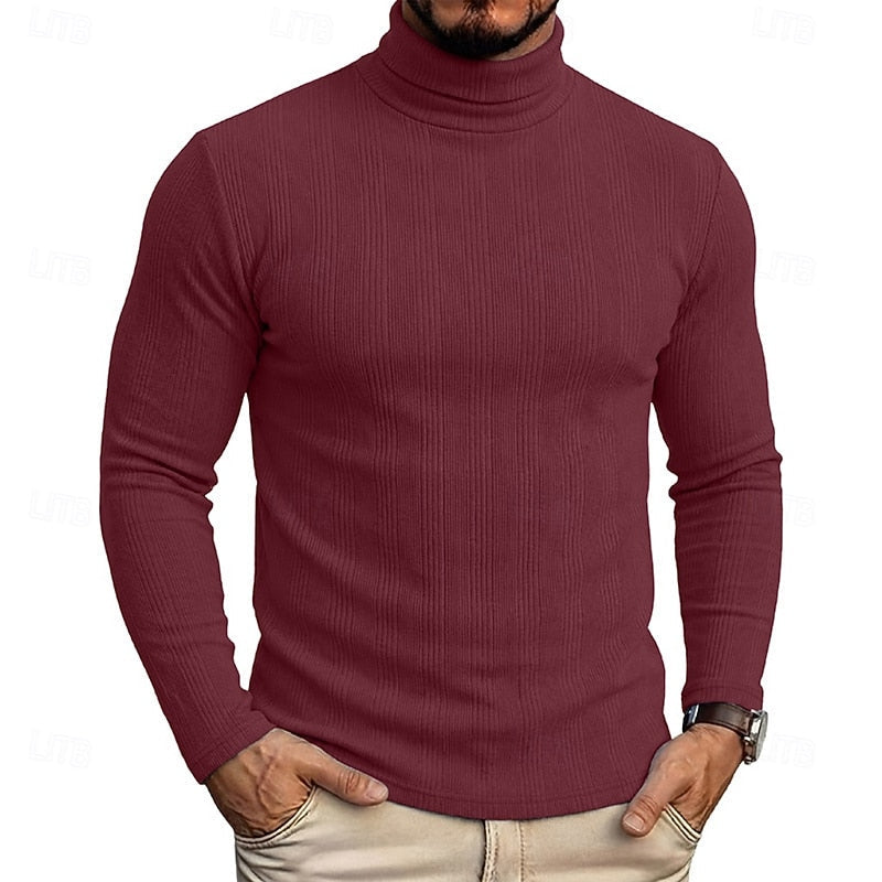 Men's Ribbed Texture Slim Fit Turtleneck Sweater